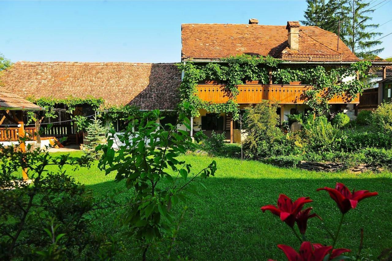 Transylvanian Country House Vetca Bagian luar foto