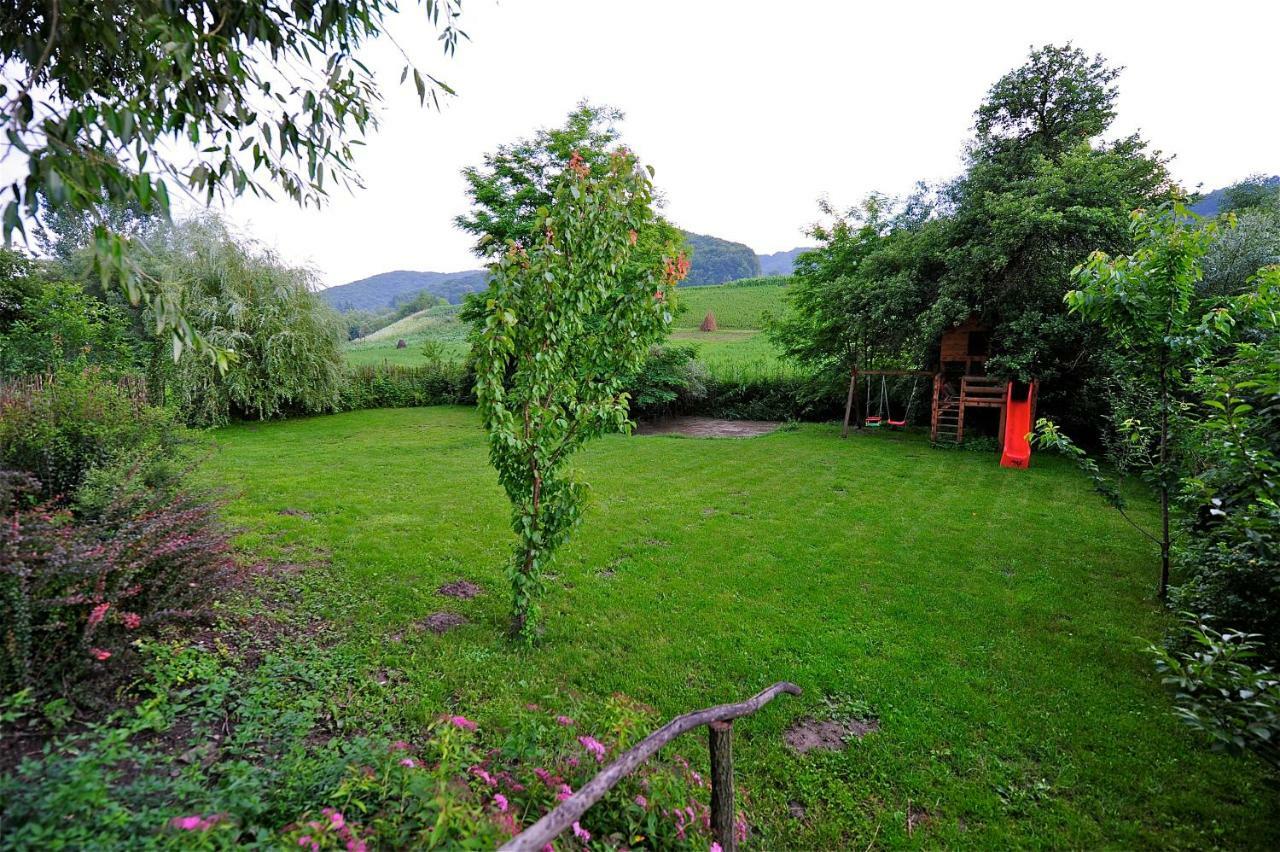 Transylvanian Country House Vetca Bagian luar foto